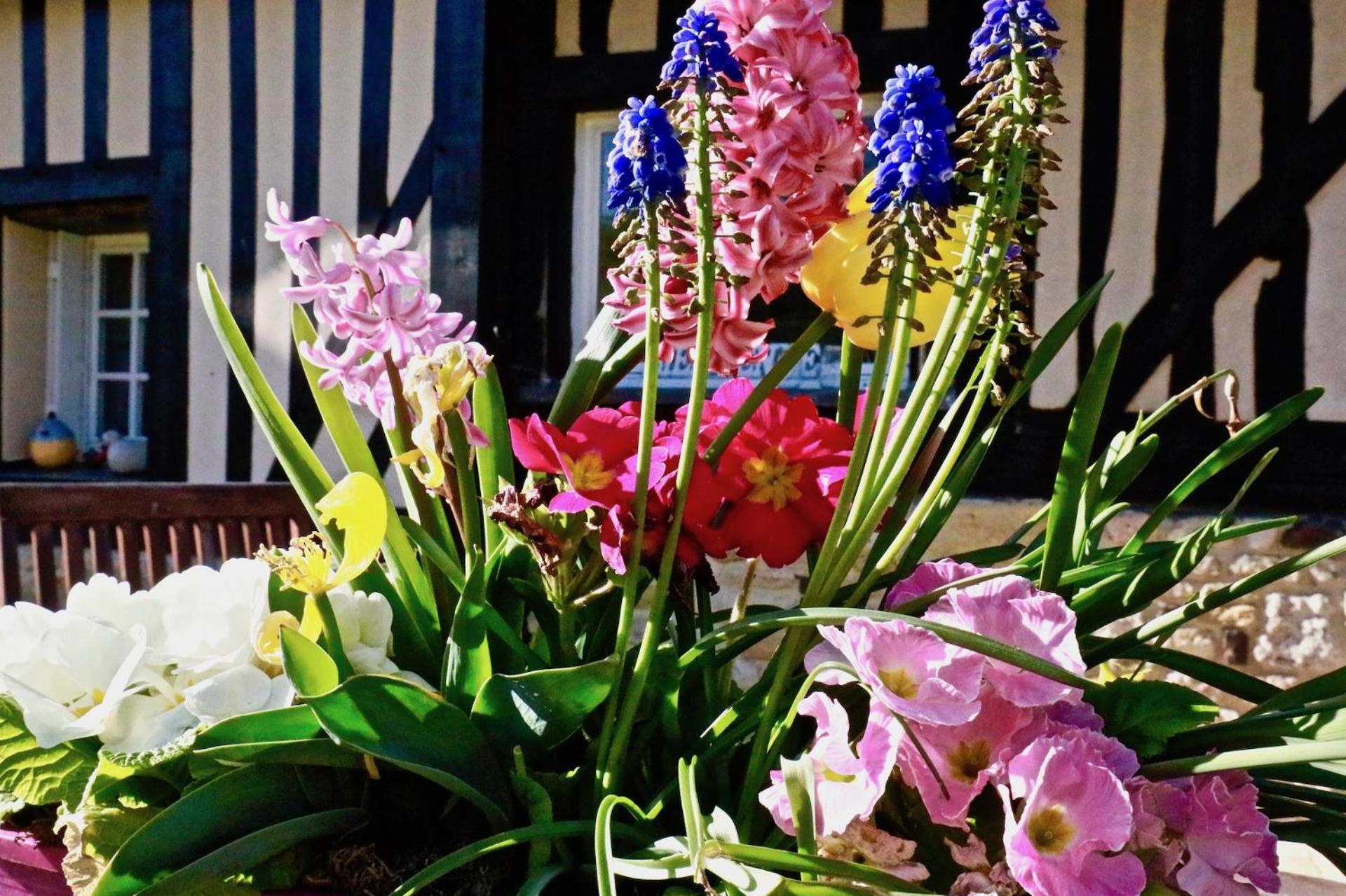 La Longere Deauville Bonneville-sur-Touques 외부 사진